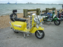 sscp (1399)