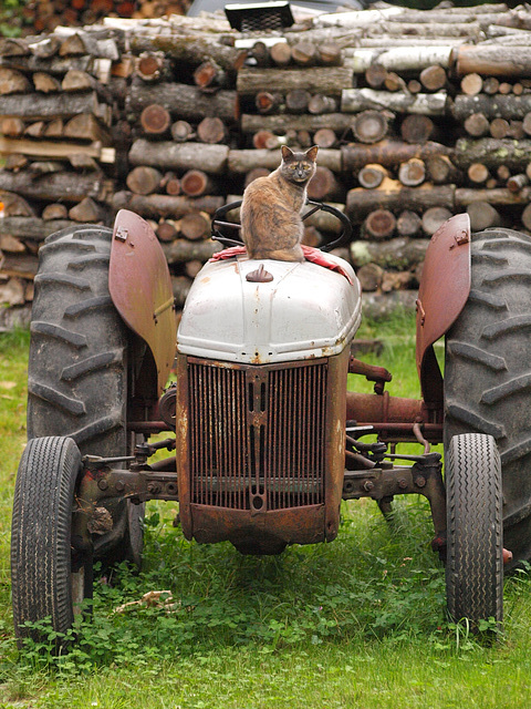 She thinks my tractor's sexy!