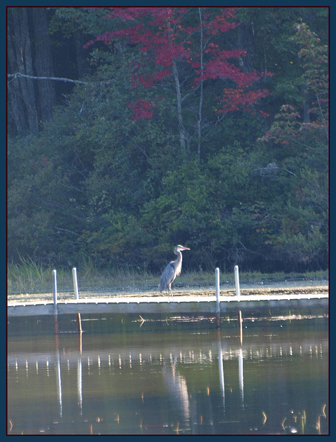 on the dock