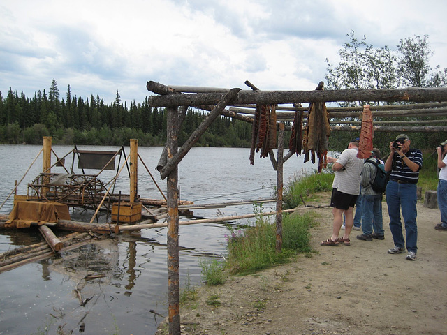Fish trap with salmon steaks hung to dry