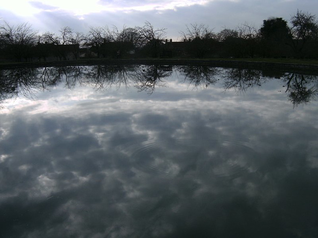 Glastonbury Abbey Fish Pond