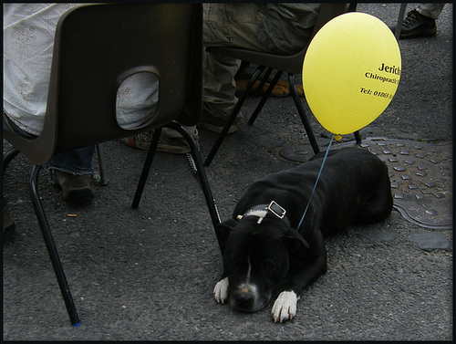 his master's balloon