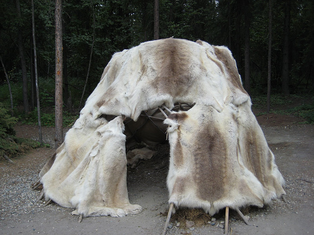 Native pelt lodge