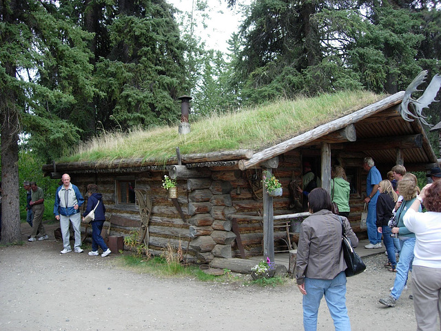 Sod roofed cabin.