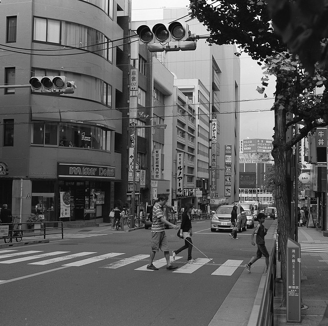 Pedestrian crossing with a white cane