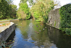 waltham abbey, essex