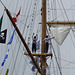 la Grande Parade de la Seine — Armada de Rouen 2013