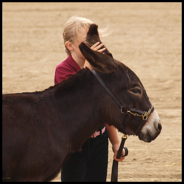 Donkey Whispering