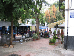 Granada - Markttag