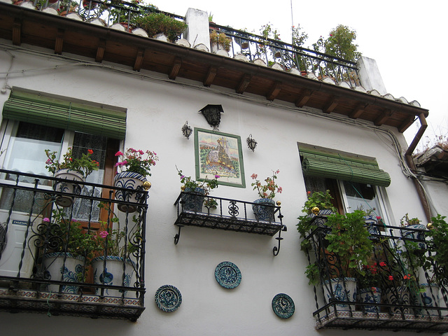 Granada