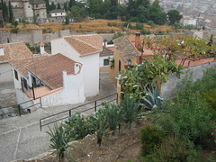 Granada