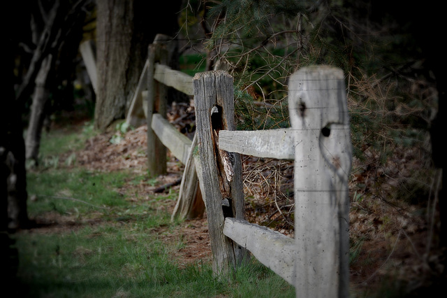 A fence