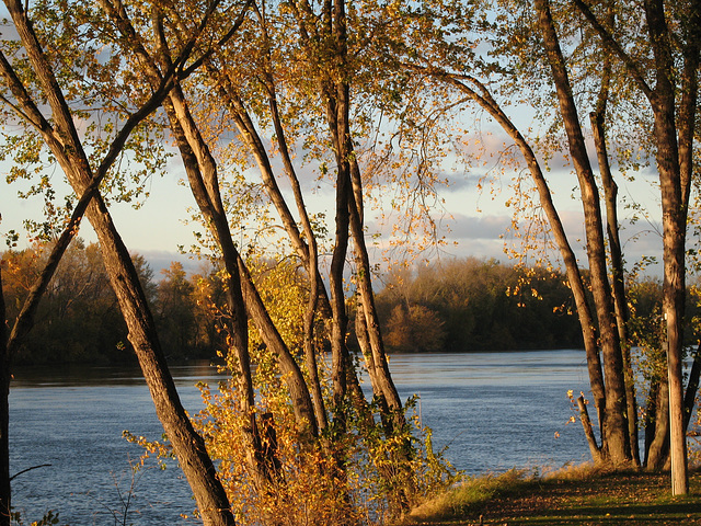 Late Light on the Connecticut River