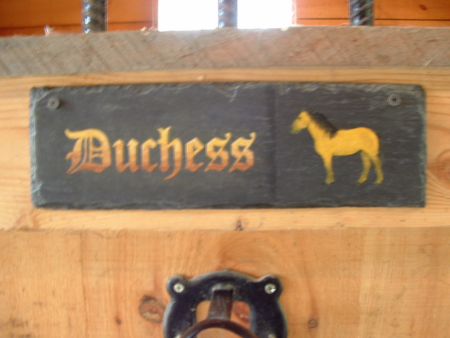 duchess sign