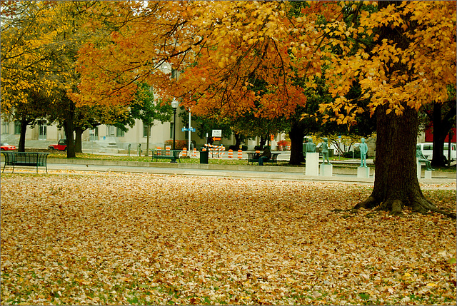 Bronson Park Color