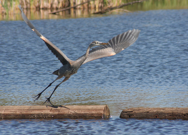 take-off/décollage