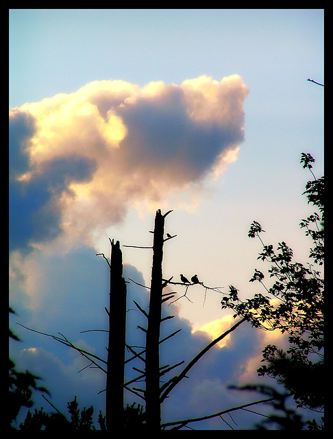 post storm skies