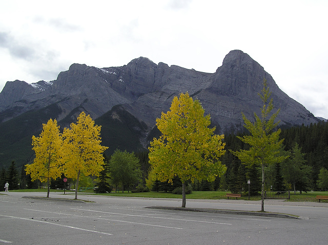 Fall in Canmore