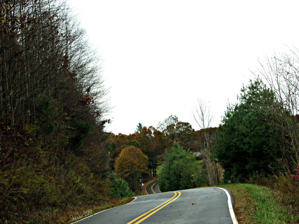 Almost there .. to Angel Mountain Cabin ...