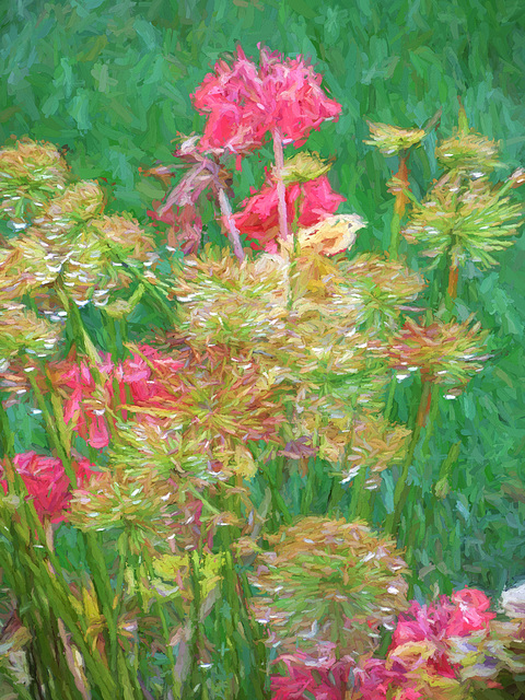 flowers in the rain