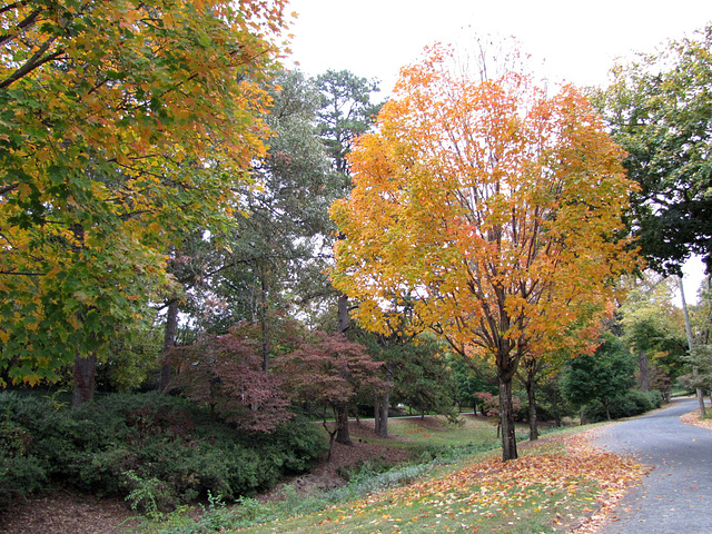 A colorful drive ...