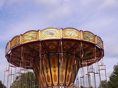 csf (1046)
