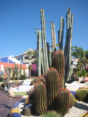 Teneriffa - Los Cristianos