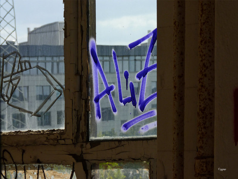 ALiZ