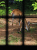 lookin' out my front door