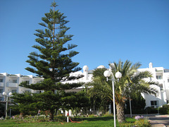 Tunesien - Monastir