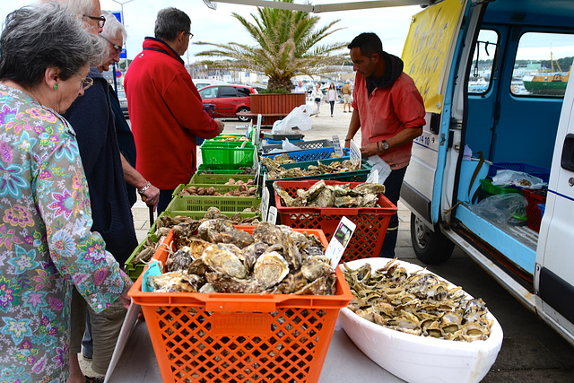 Concarneau 2014 – Oysters