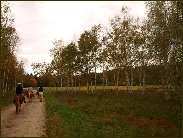 Equest trail ride, Maine 2010