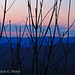 Wolf Laurel Mountain Sunrise