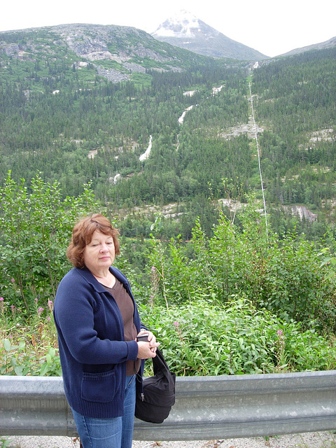Pipeline in background provides hydroelectric power to the town of Skagway.  Obviously not everyone is impressed by that.