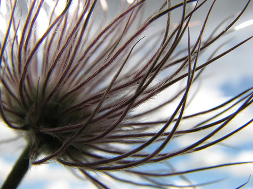 Blowing in the wind
