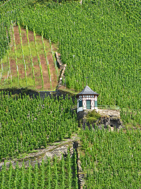 Weinbergshäuschen