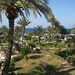 Tunesien - Monastir / Parkanlage
