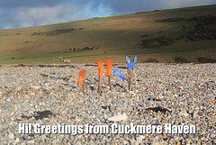 Greetings from Cuckmere Haven - 21.1.2014