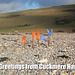 Greetings from Cuckmere Haven - 21.1.2014