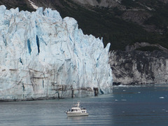 I'm guessing the top of the face of this glacier is more than 200 feet above the sea.  Note the person standing on the deck of the boat, which is itself some distance from the glacier.
