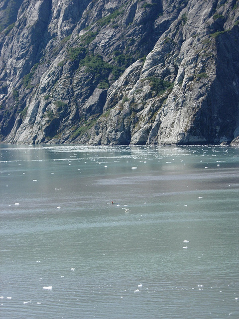 A lone kayaker give some perspective to the size of the ice chunks floating by.