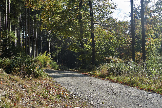 waldweg-1200009-co-19-10-14