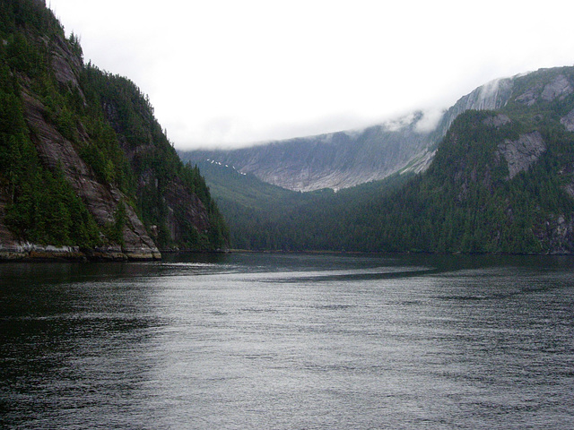 Mist in the fiord