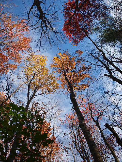 tower of color