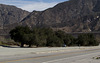 Cajon Pass Blue Cut rest area (1310)