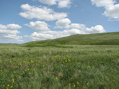 McIntyre Ranch, Milk River Ridge