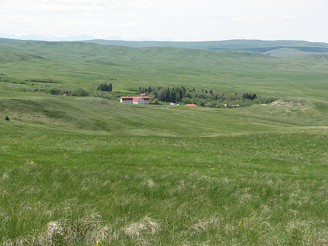 McIntyre Ranch, Milk River Ridge