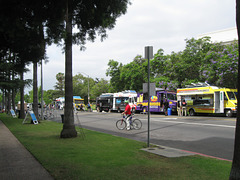 CicLAvia, June 2013