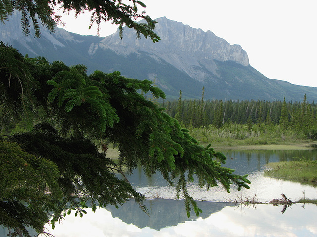 Yamnuska