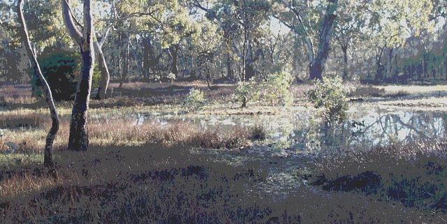 Red Gum pools, morning light